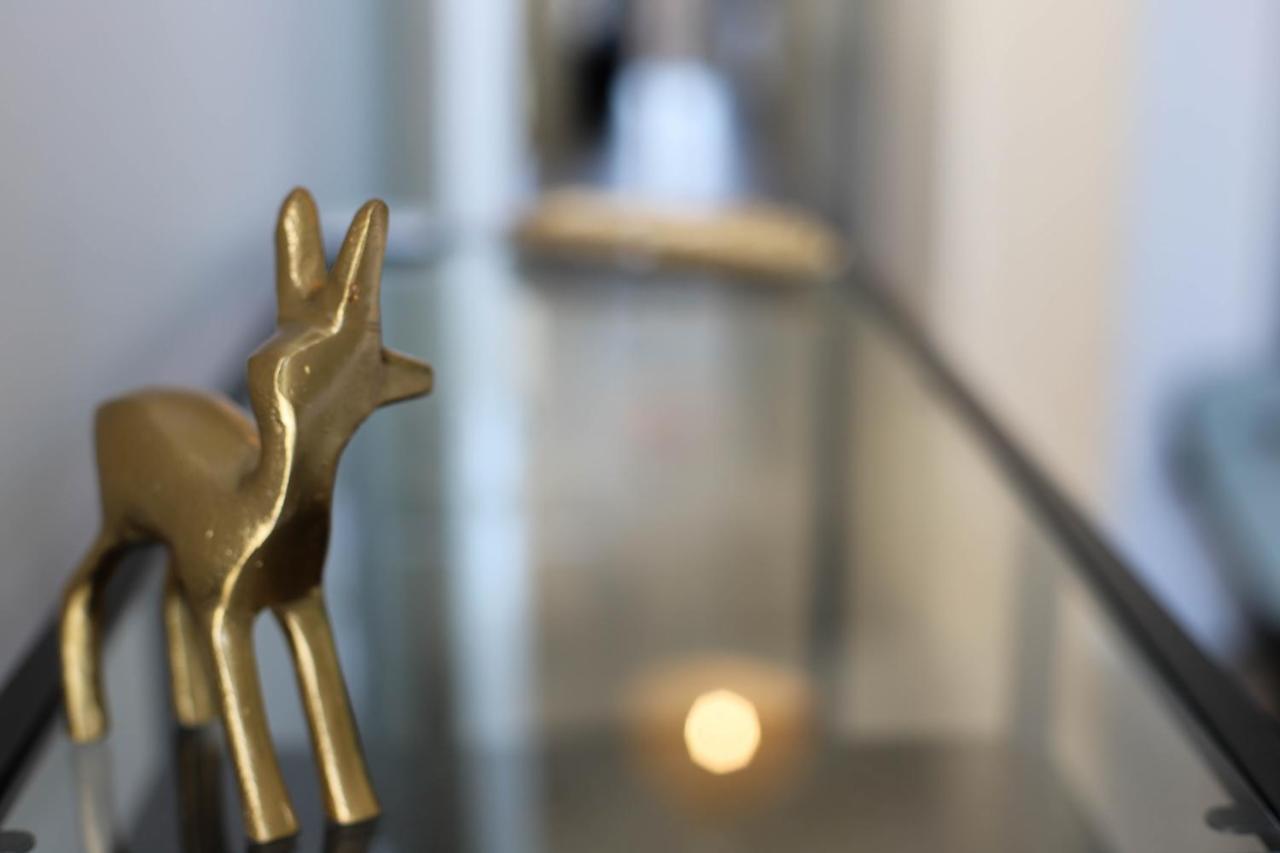 Les Choucas - Appartement Duplex Lumineux Avec Parking Annecy Eksteriør billede